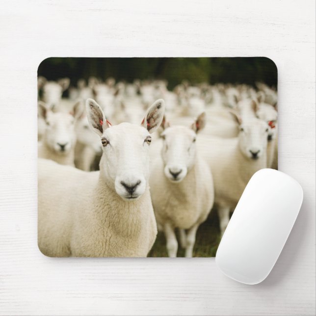 Mousepad Fazendas | Efetivos de ovinos (Com mouse)