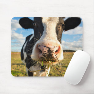 Mousepad Fazendas   Mastigação De Vaca Holstein