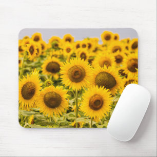 Mousepad Fazendas Um Campo De Girassol