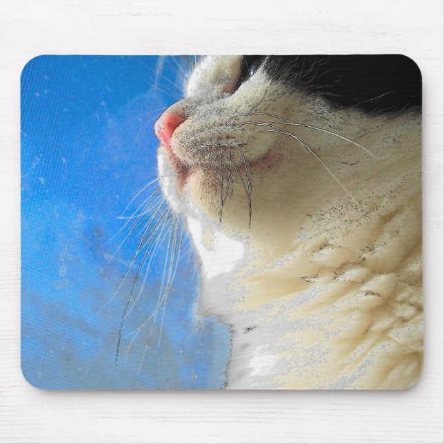 Mousepad Fazendo a Janela (Frente)