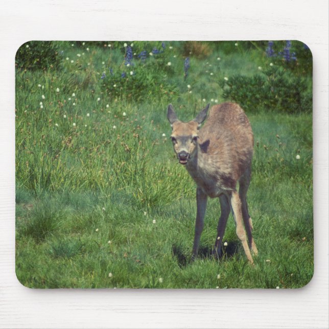 Mousepad Fazer (Frente)