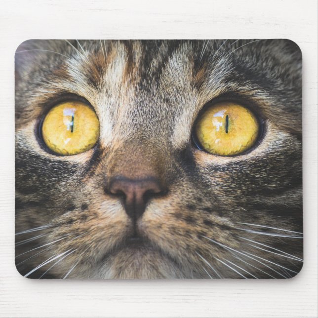 Mousepad Fechamento de Gato com Olhos Amarelos (Frente)