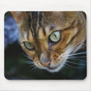 Mousepad Fechamento de Gato de Bengala
