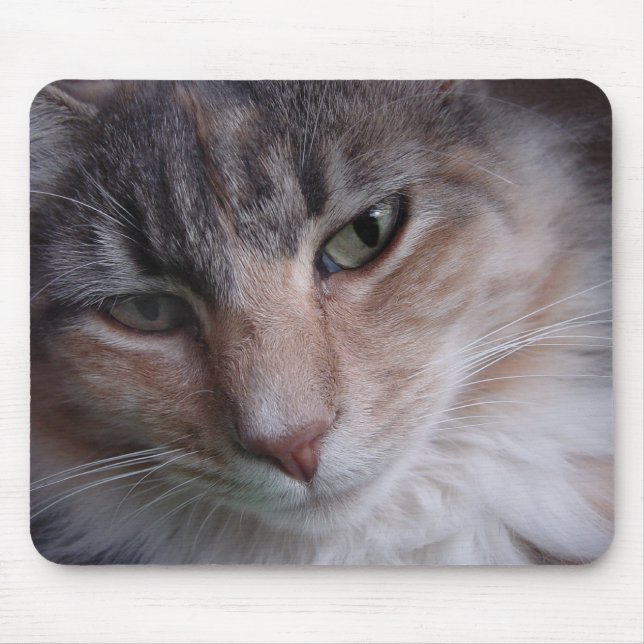 Mousepad Fechamento de Lulu (Frente)