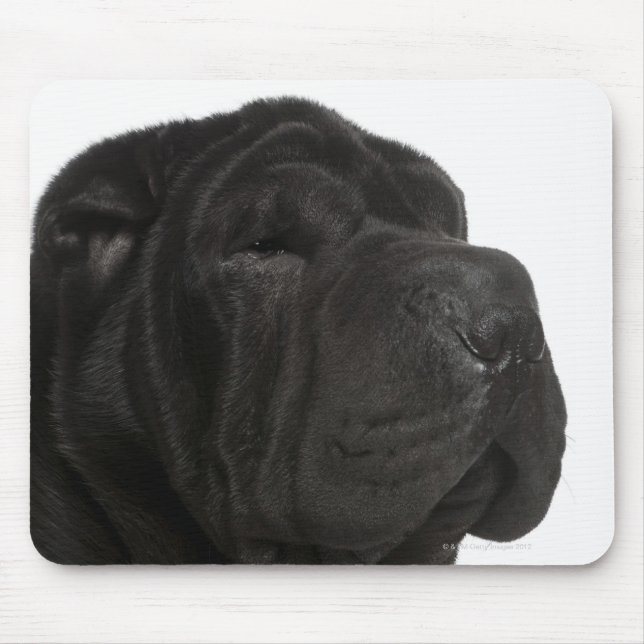 Mousepad Fechamento de Shar Pei (1 ano) (Frente)