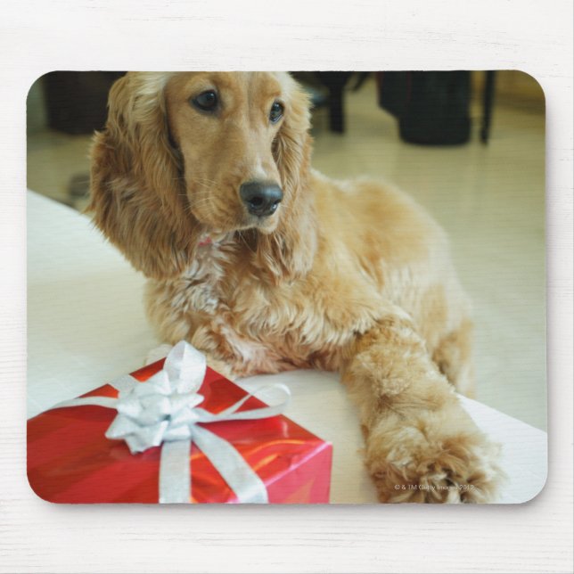 Mousepad Fechamento de um cão com um presente (Frente)