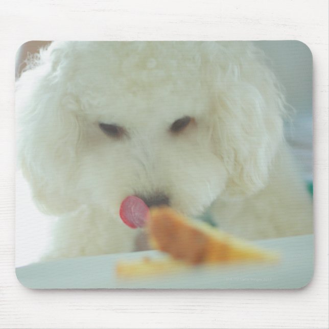 Mousepad Fechamento de uma comida de poodle em miniatura (Frente)