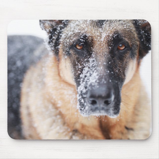 Mousepad Fechamento Do german shepherd Coberto Na Neve (Frente)