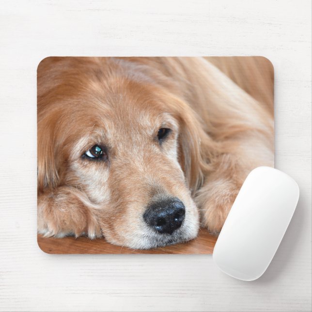 Mousepad Fechamento do ouro Retriever (Com mouse)