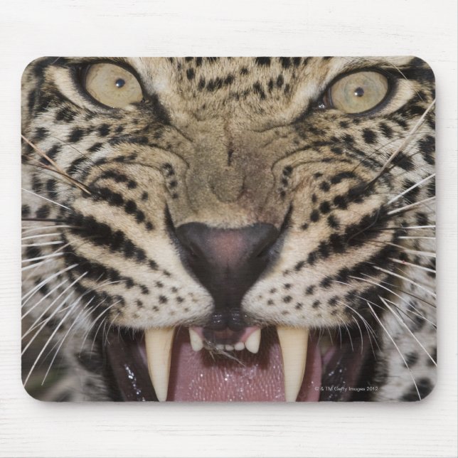 Mousepad Fechar o rosnamento do leopardo (Frente)