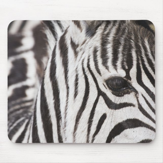 Mousepad Feche a zebra (Frente)