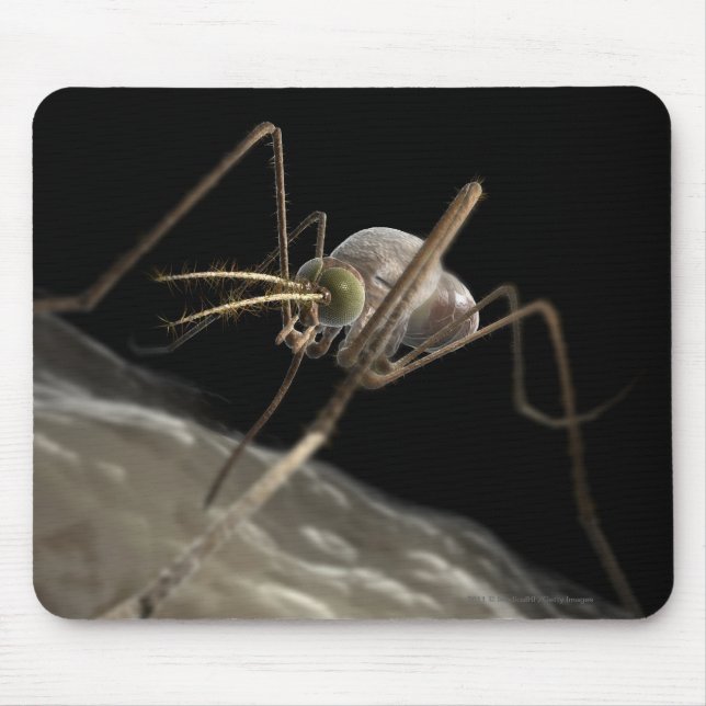 Mousepad Feche acima da mordedura do mosquito 3d (Frente)