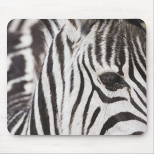 Mousepad Feche acima da zebra
