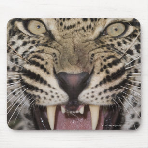 Mousepad Feche acima do leopardo que rosna
