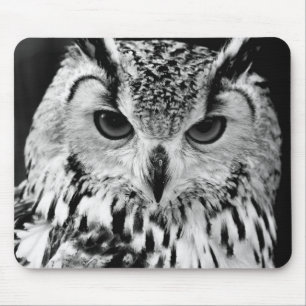 Mousepad Feche acima do retrato da Eagle-coruja