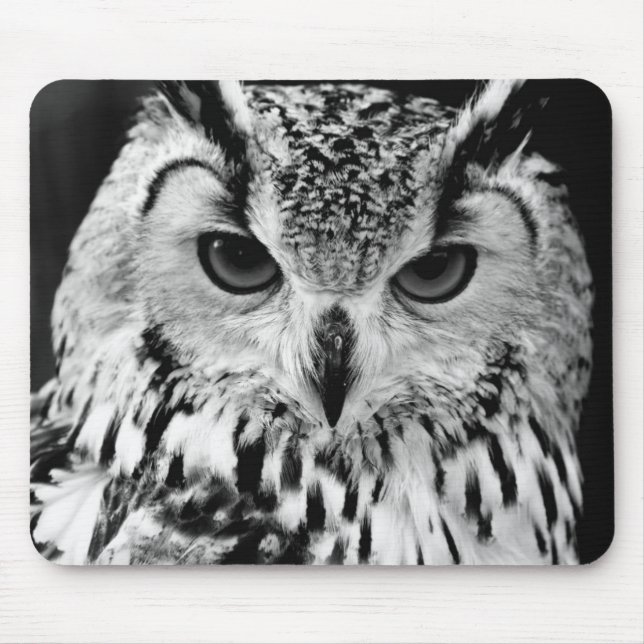 Mousepad Feche acima do retrato da Eagle-coruja (Frente)