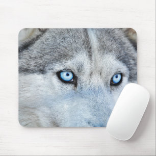 Mousepad Feche o Husky siberiano com Olhos Azuis
