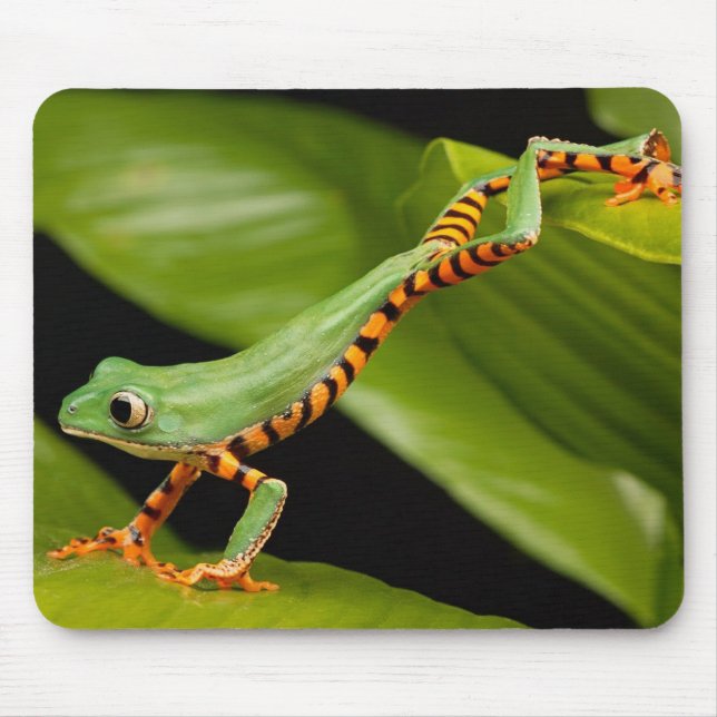 Mousepad Feche um Sapo de macaco na perna do Tigre (Frente)