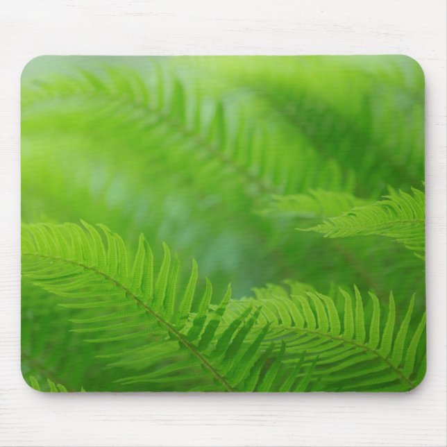 Mousepad Fecho da sword fern (Frente)