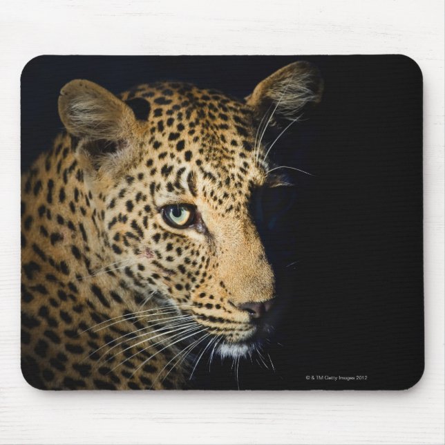 Mousepad Fecho de Leopardo, Grande Kruger Nacional (Frente)