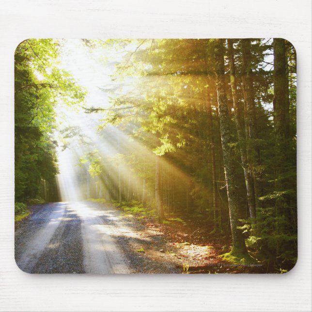 Mousepad Feixes de Sun através da floresta no parque (Frente)