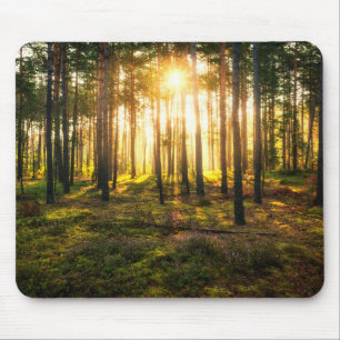 Mousepad Feixes do Sol brilham na floresta de pinheiros