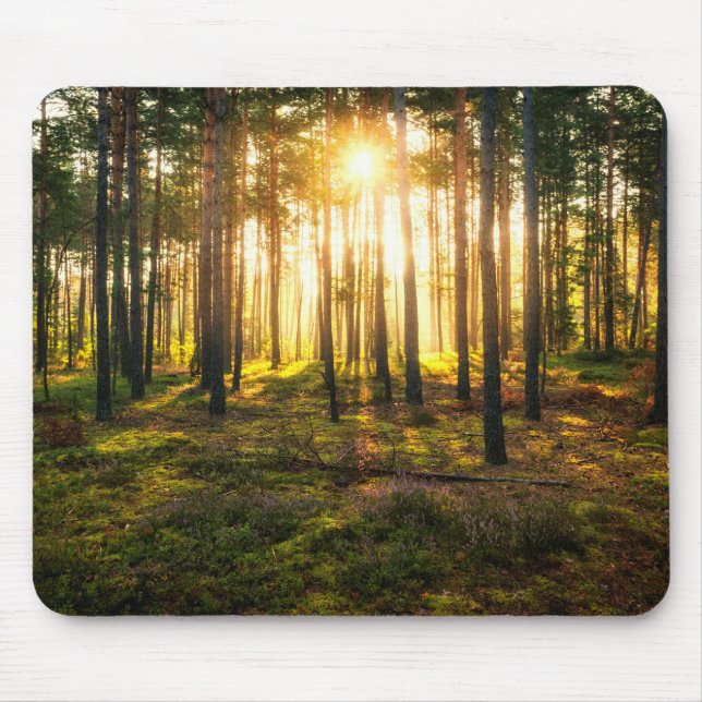 Mousepad Feixes do Sol brilham na floresta de pinheiros (Frente)
