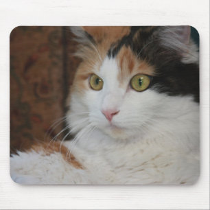 Mousepad Felino Mesmerizado