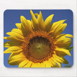 Mousepad Feliz dia pelo computador