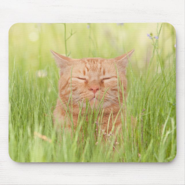 Mousepad Feliz Gato Feliz (Frente)