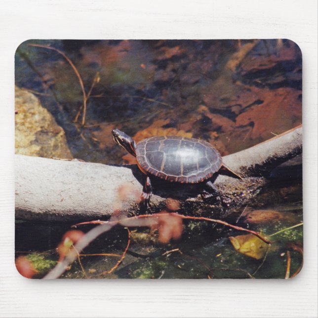 Mousepad Feliz Tartaruga (Frente)