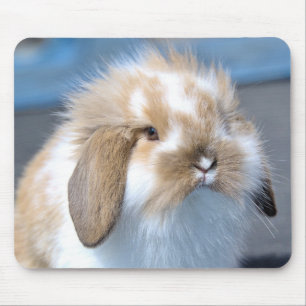 Mousepad Felpudo Holland Mini Dwarf Lop Bunny Rabbit