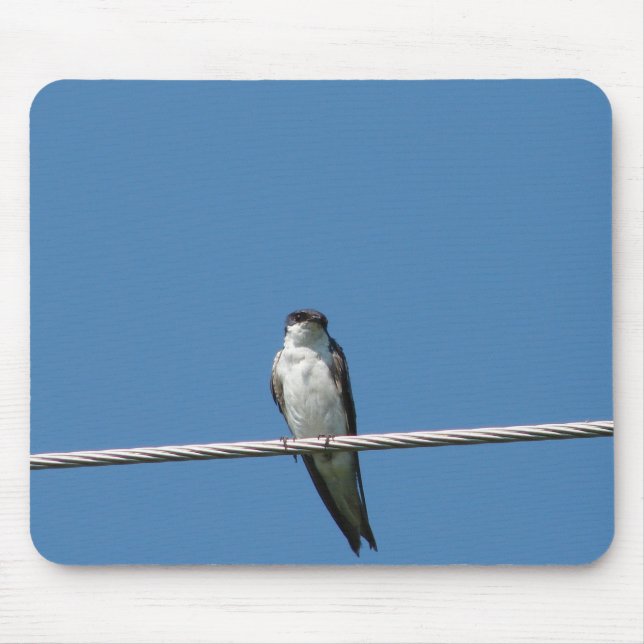 Mousepad Female Barn Swallow (Frente)