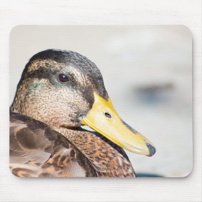 Mousepad Female Mallard (Frente)