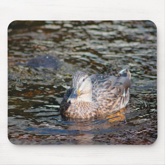 Mousepad Female Mallard (Frente)