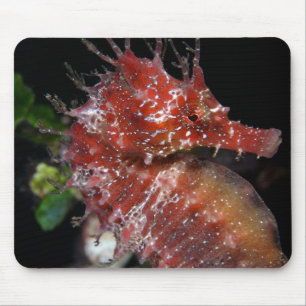 Mousepad Fêmea Begur do pônei do cavalo marinho