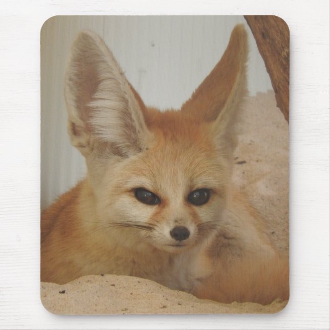 Mousepad Fennec Fox (Frente)