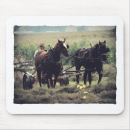 Mousepad Feno do fazer com cavalos