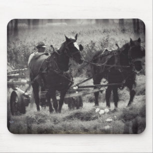 Mousepad Feno do fazer com os cavalos preto e branco