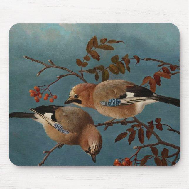 Mousepad Ferdinand von Wright - Jays (Frente)
