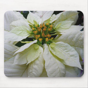 Mousepad Feriado de Natal Elegante de Poinsettia Branca