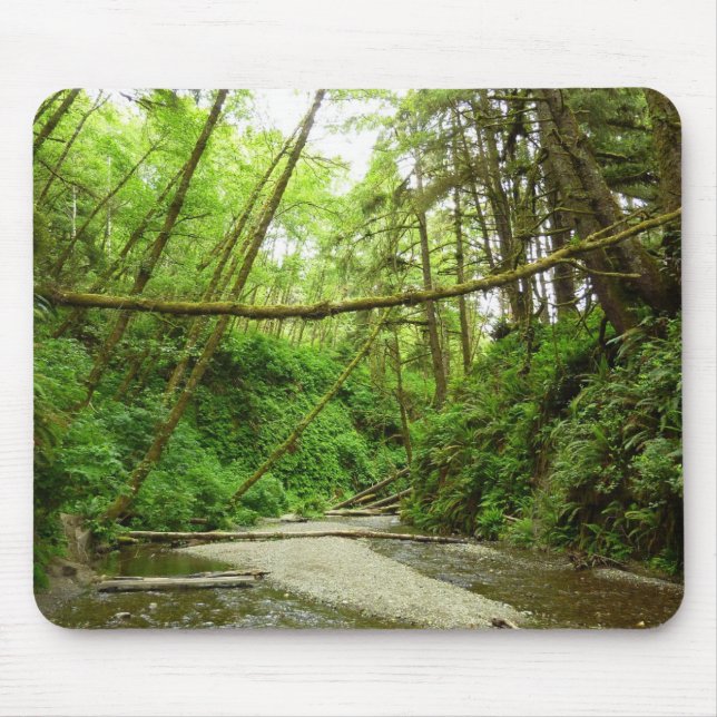 Mousepad Fern Canyon I no Parque Nacional de Redwood (Frente)