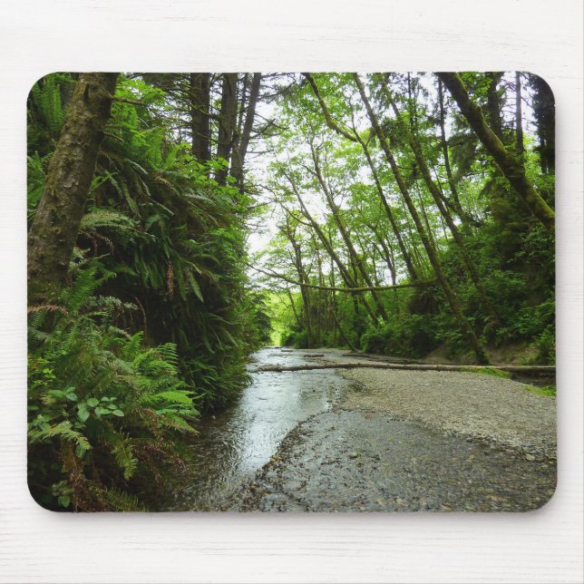 Mousepad Fern Canyon II no Parque Nacional de Redwood (Frente)