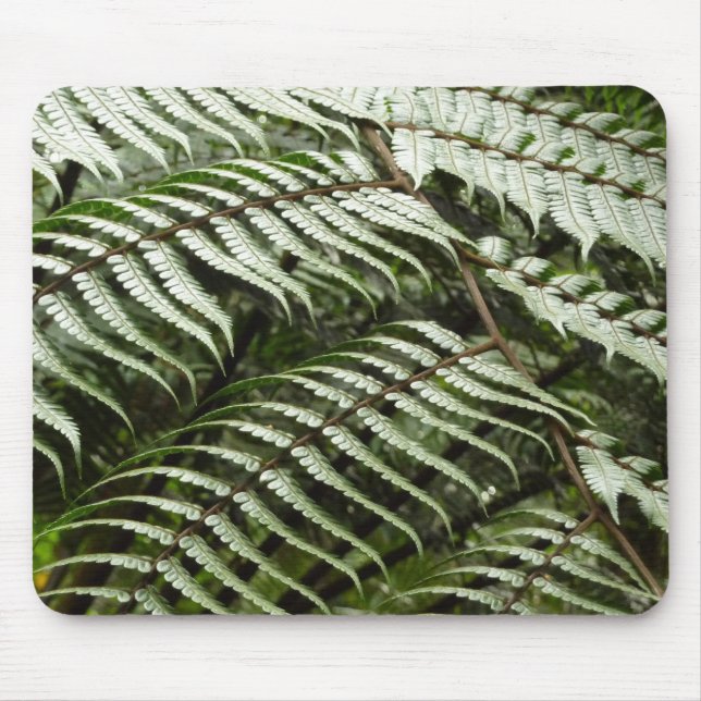 Mousepad Fern Fronds II Dark Green Nature (Frente)