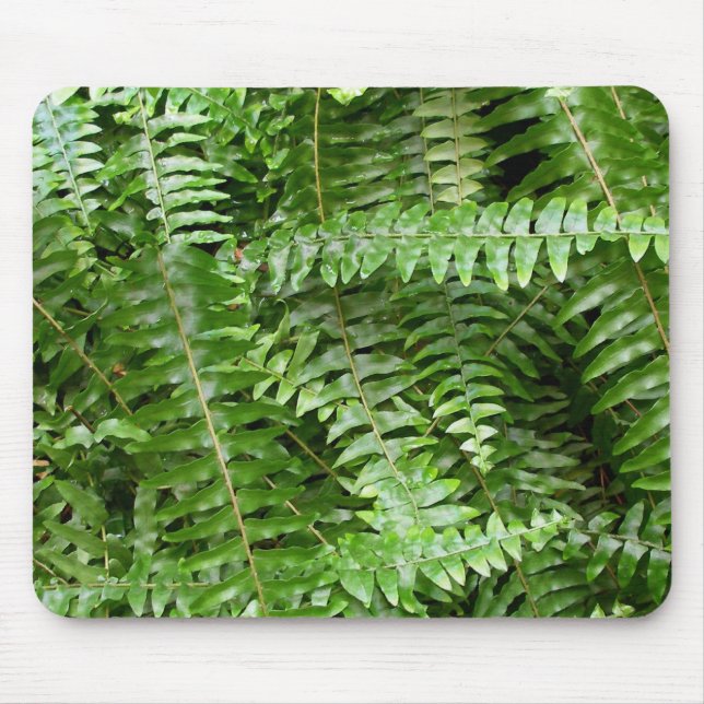 Mousepad Fern Frontes I Green Nature (Frente)