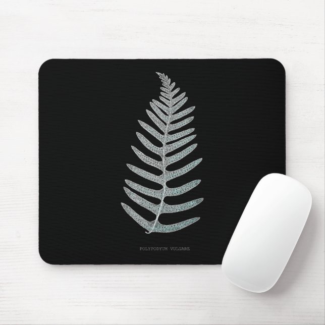 Mousepad Fern - Polypodyum Vulgare - Efeito de raios X - 09 (Com mouse)