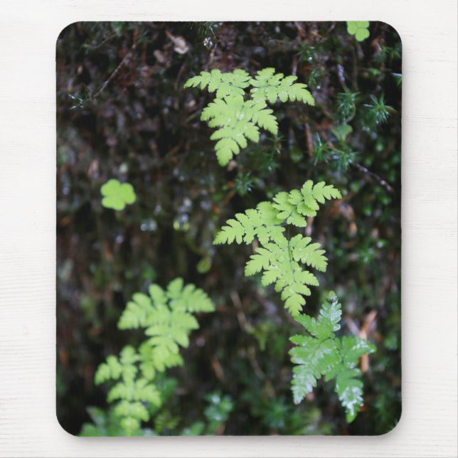 Mousepad Ferns - (Frente)