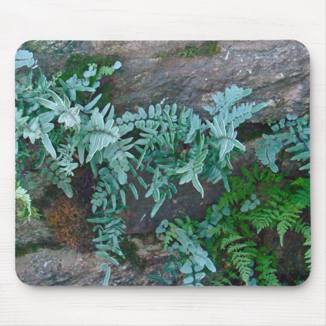 Mousepad Ferns em Filadélfia (Frente)
