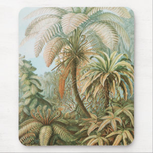 Mousepad Ferns, Filicinae Laubfarne por Ernst Haeckel