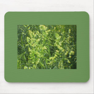 Mousepad Festuca de sementeira